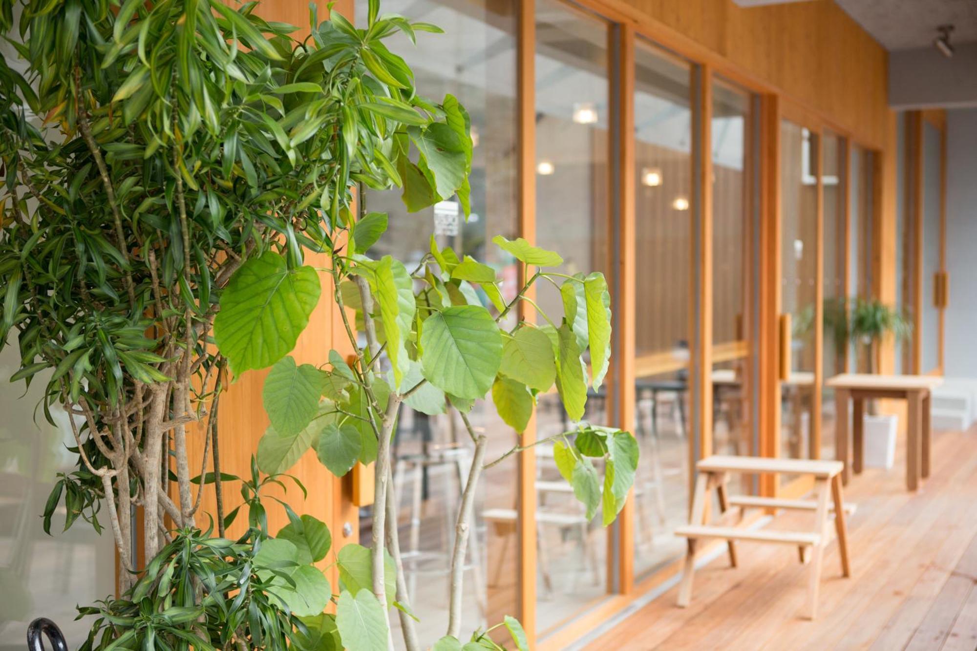 Tsuchiya Kinosaki Onsen Hotel Тойока Екстериор снимка
